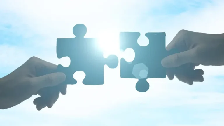 オーナー経営者のための経営課題解決型メディア「THE OWNER（ザ オーナー）」とメタピックスがコンテンツ連携を開始